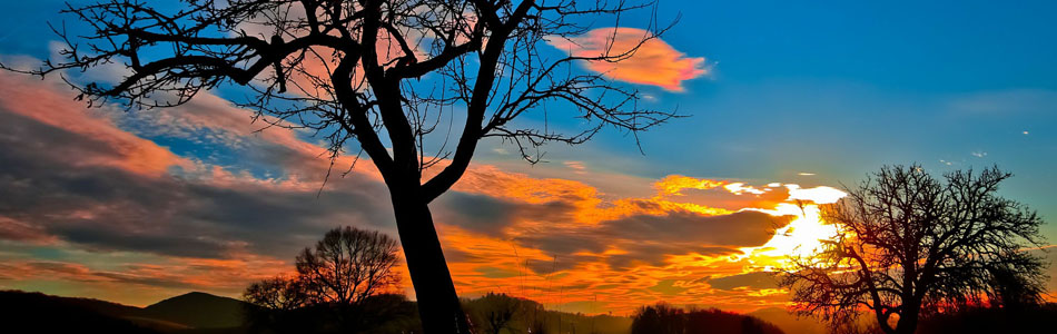 在线短信轰炸测试