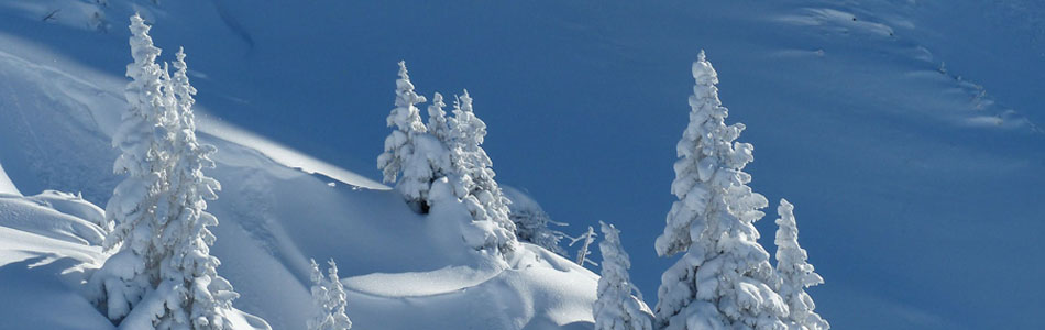 全天订单处理的手机号群发平台